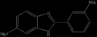 2-(3-aminophenyl)-5-aminobenzimidazole
