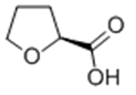 (S)-(-)-Tetrahydro-2-furoic acid